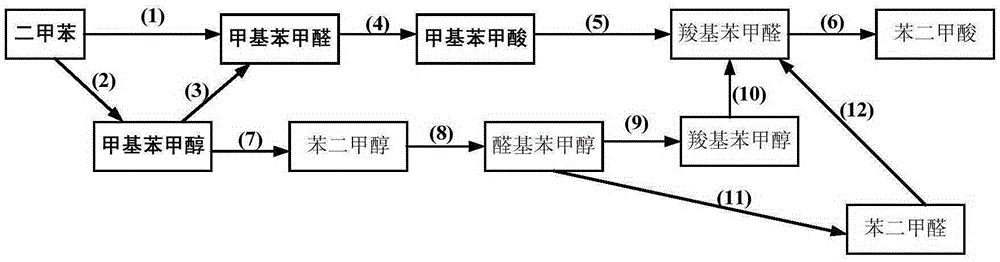 Coproduction method of methyl benzyl alcohol, methyl benzaldehyde, and methyl benzoic acid