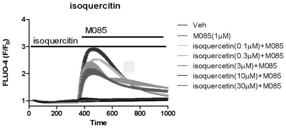 Application of isoquercitrin as inhibitor of calcium ion channel
