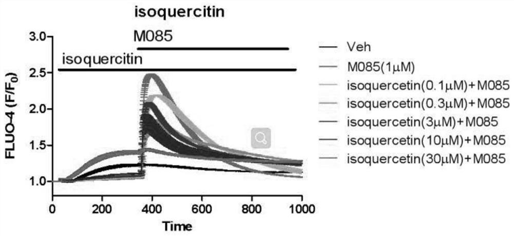 Application of isoquercitrin as inhibitor of calcium ion channel