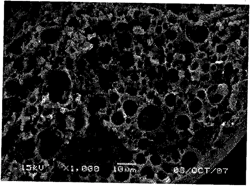 Pharmaceutical composition containing micronized human vascular endostatin