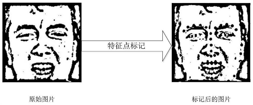 Video emotion recognition method integrating facial expression recognition and speech emotion recognition