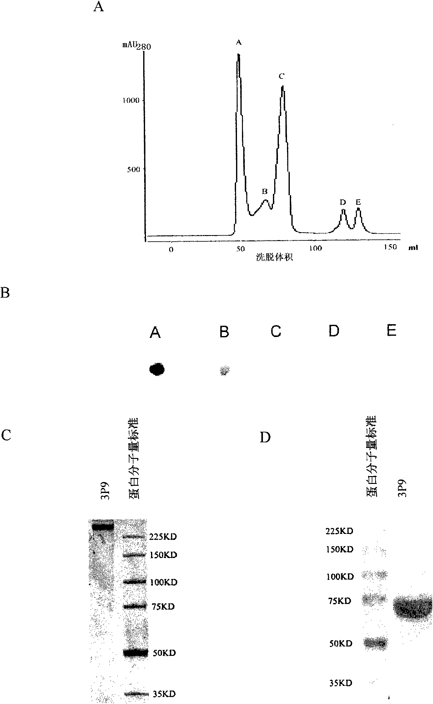 Antibody for inhibitting growth of colorectal carcinoma and its use in preparation of medicament and kit