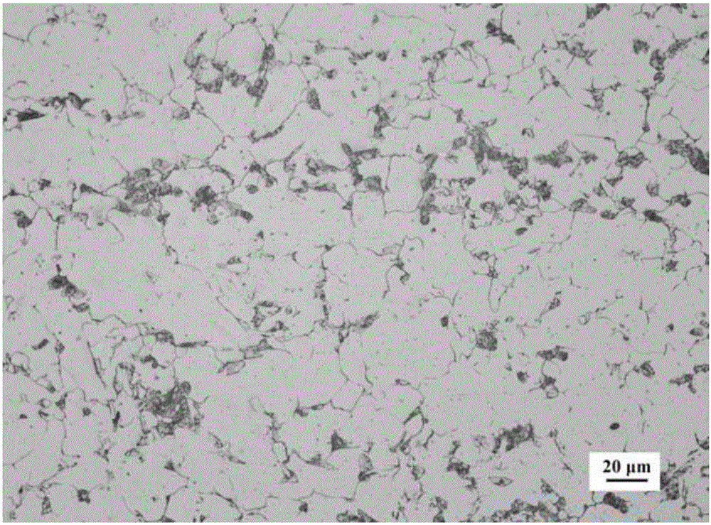 Grinding and polishing erosion reagent for pearlite, and rapid metallographic examination method for pearlitic steel