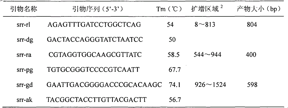 Gene chip for detecting common clinical pathogenic microorganism