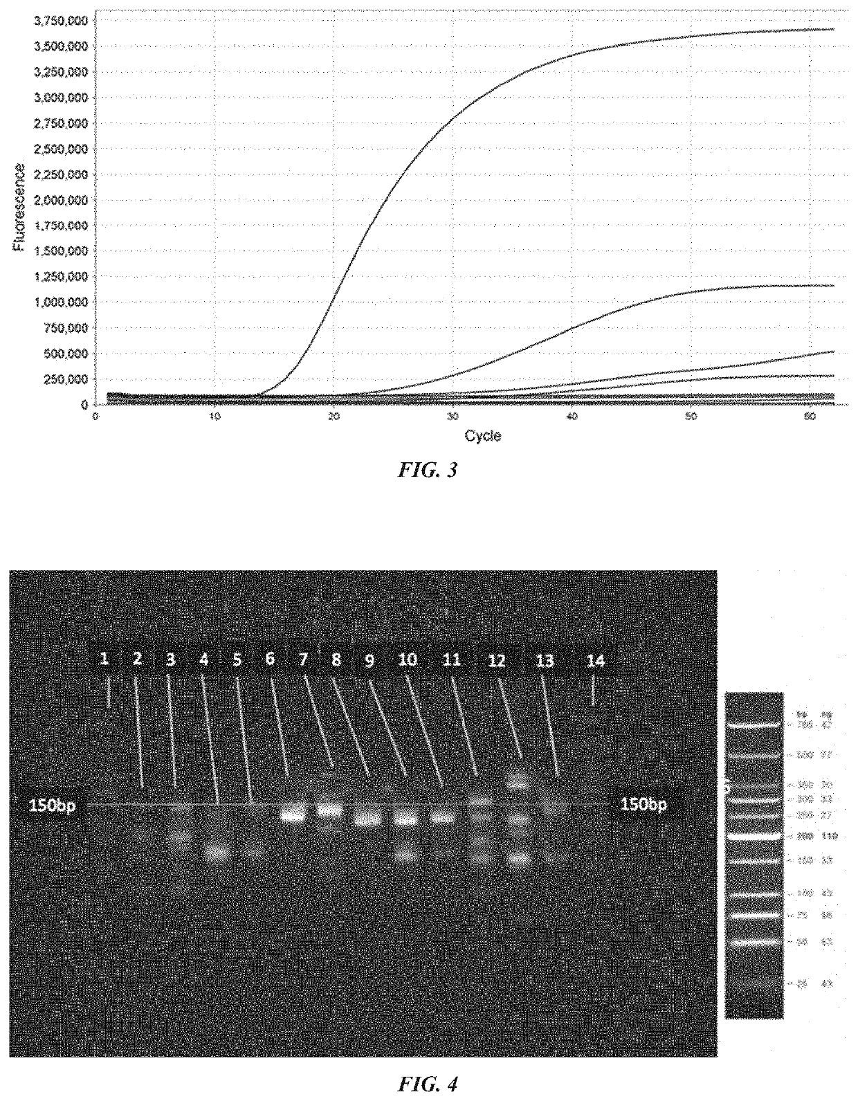 Devices, systems and methods for biomarker analysis
