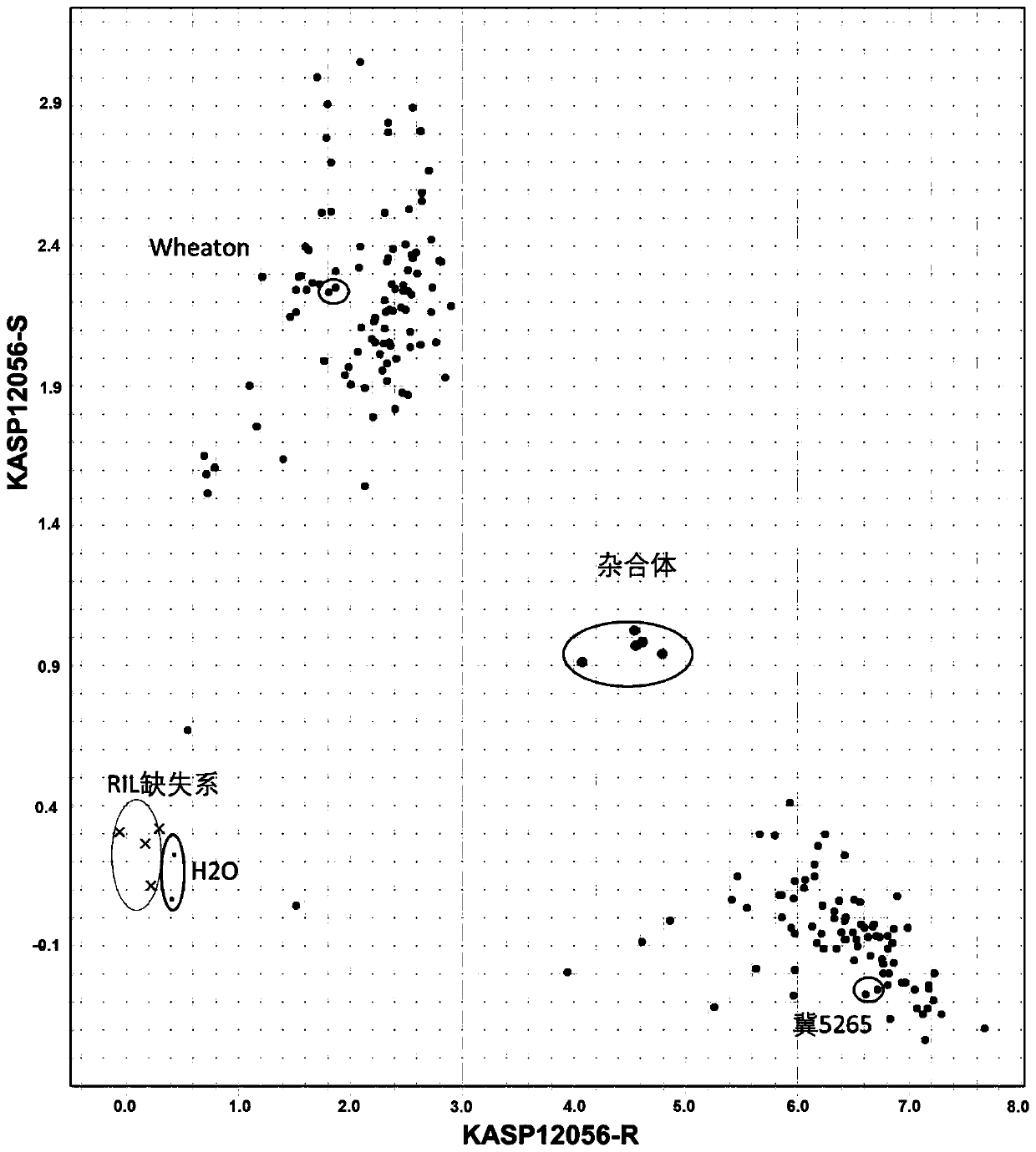 KASP Molecular Marker and Its Application of the Major Qtl of Wheat Scab Resistance