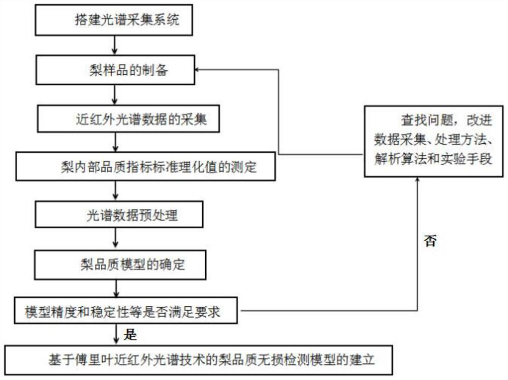 Construction method for nondestructive testing of internal quality of pear and nondestructive testing method for internal quality of pear