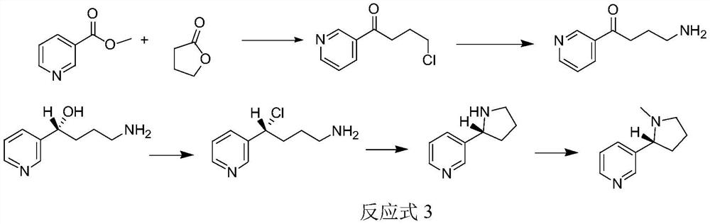 Method for synthesizing chiral nicotine from butyrolactone