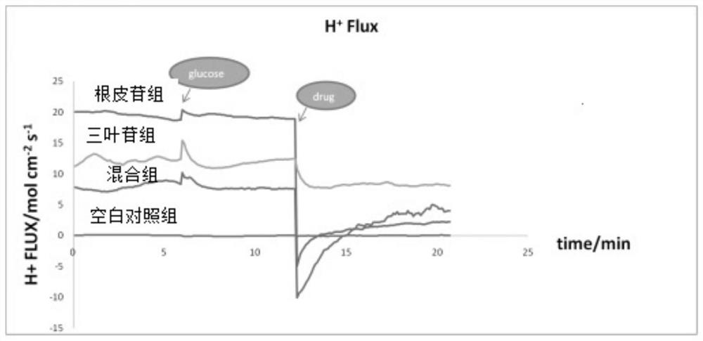 A kind of method for preparing phloridzin mixed hypoglycemic preparation