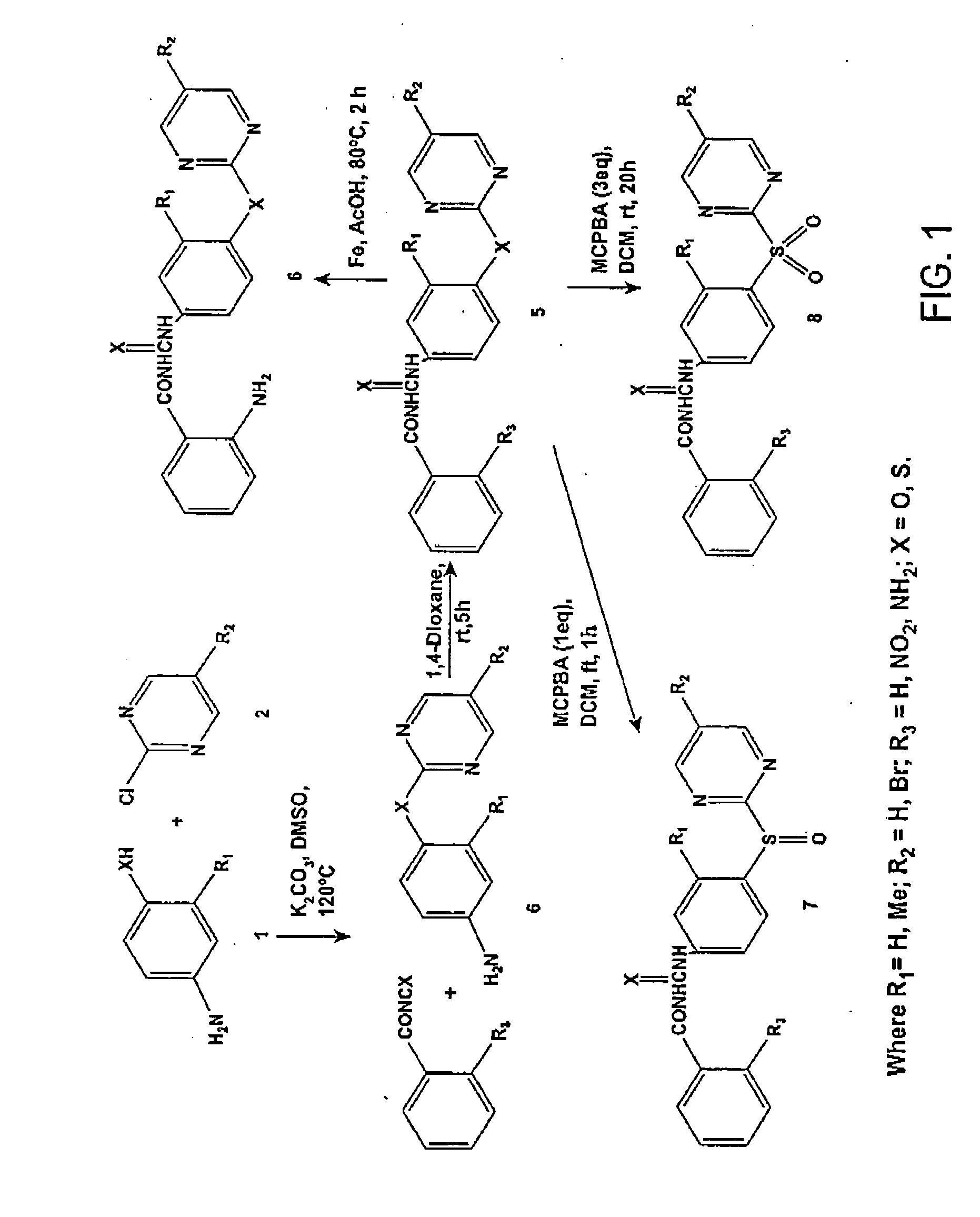 Design and synthesis of novel tubulin polymerization inhibitors: benzoylphenylurea (BPU) sulfur analogs