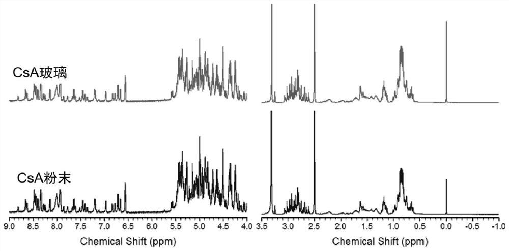 Cyclic peptide glass and pharmaceutical composition glass containing cyclic peptide