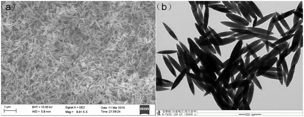 Nitrogen-doped and carbon-coated iron trioxide anode material for lithium ion battery and preparation method of nitrogen-doped and carbon-coated iron trioxide anode material