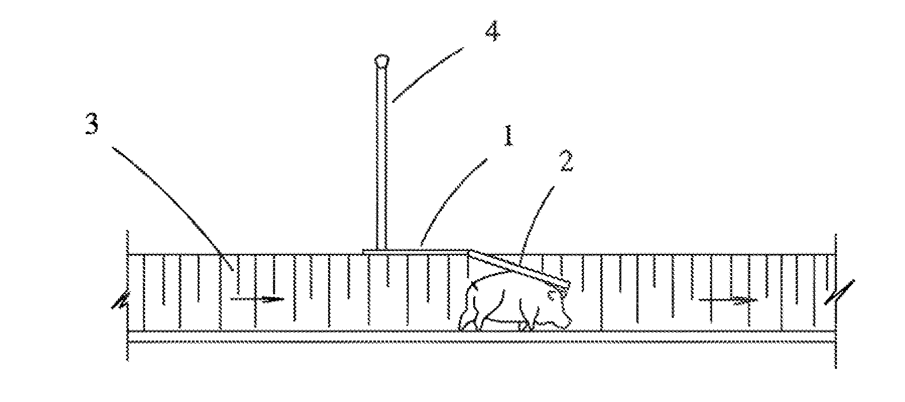 Passage Device for Fauna