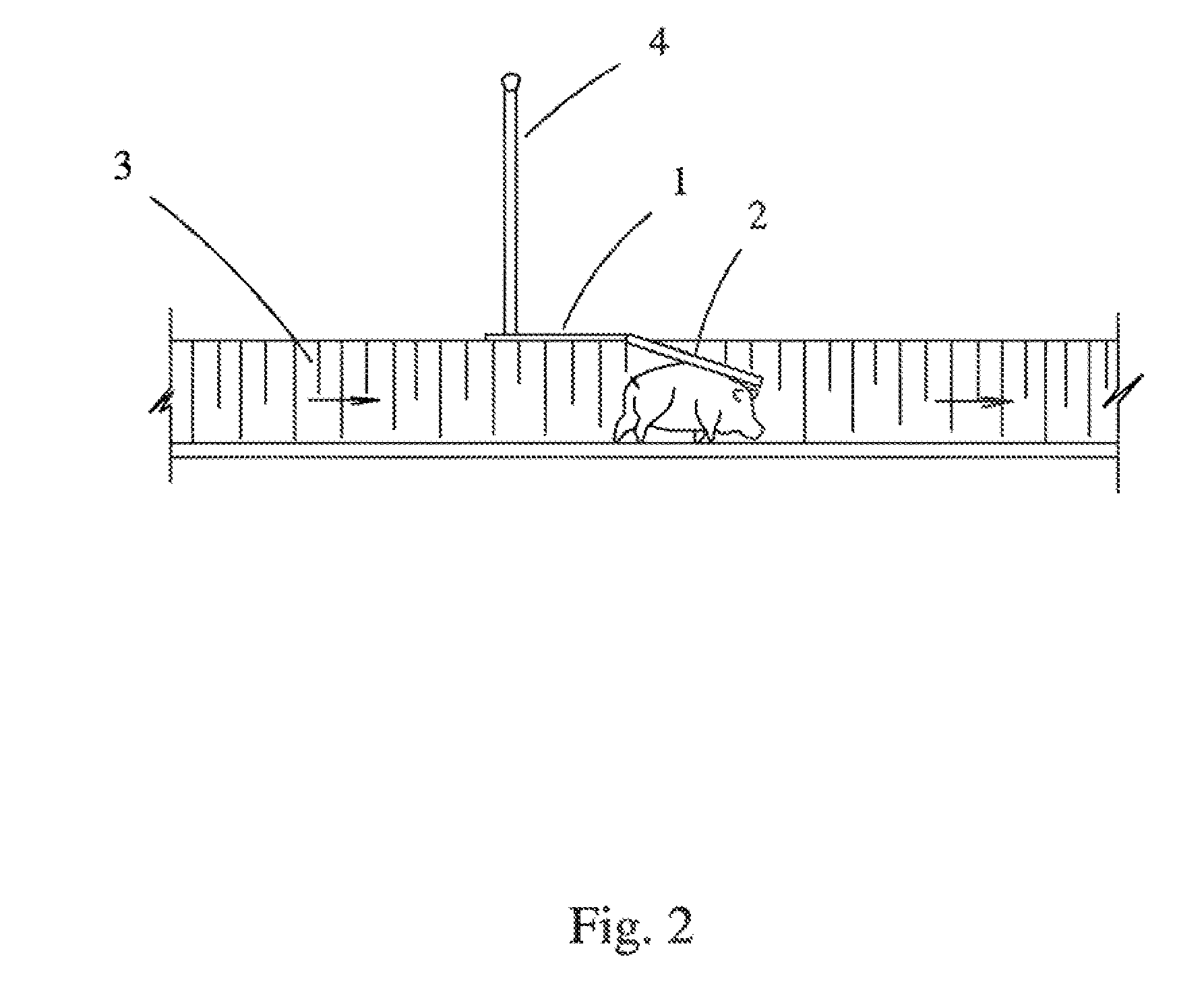 Passage Device for Fauna