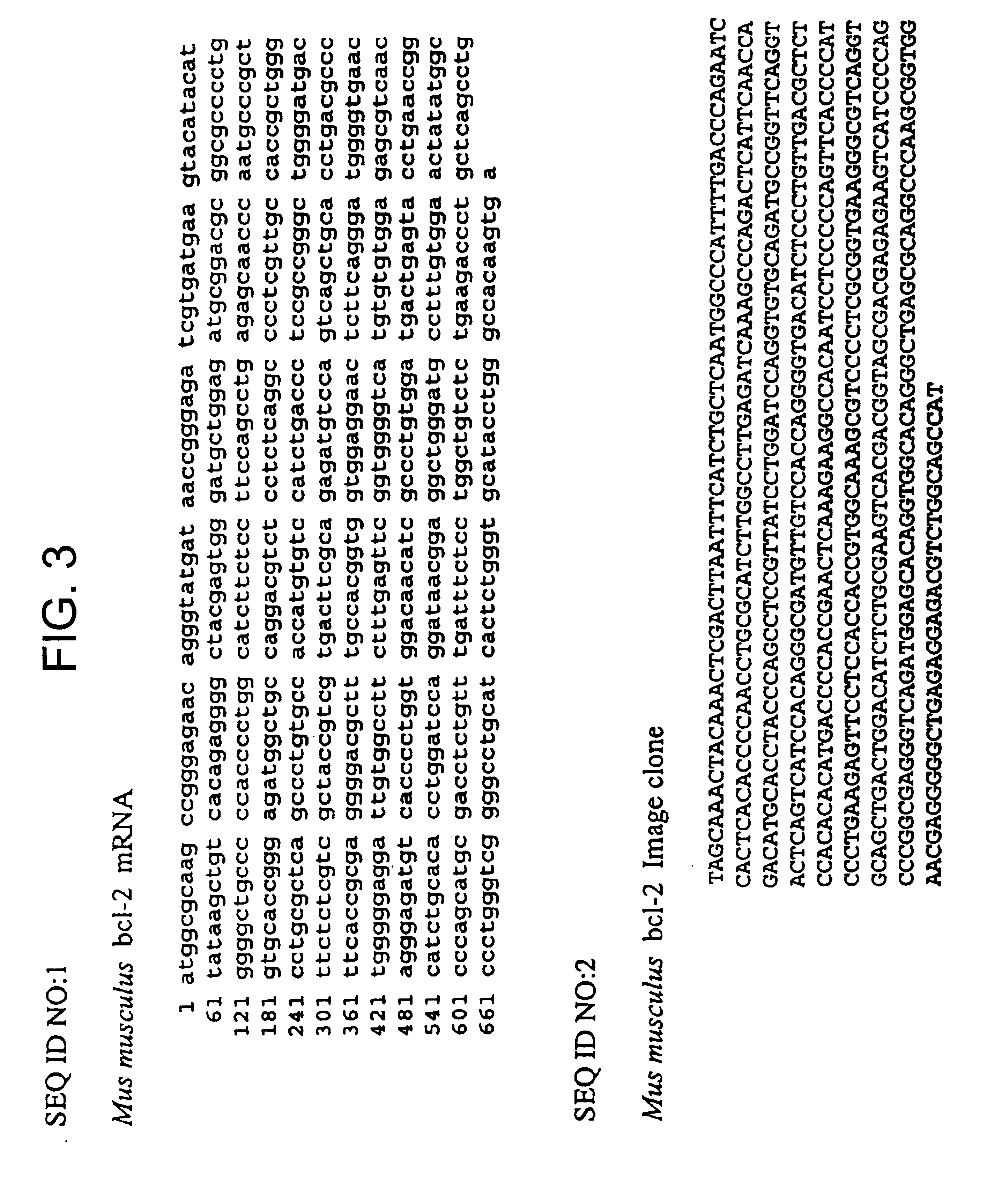 DNA array sequence selection
