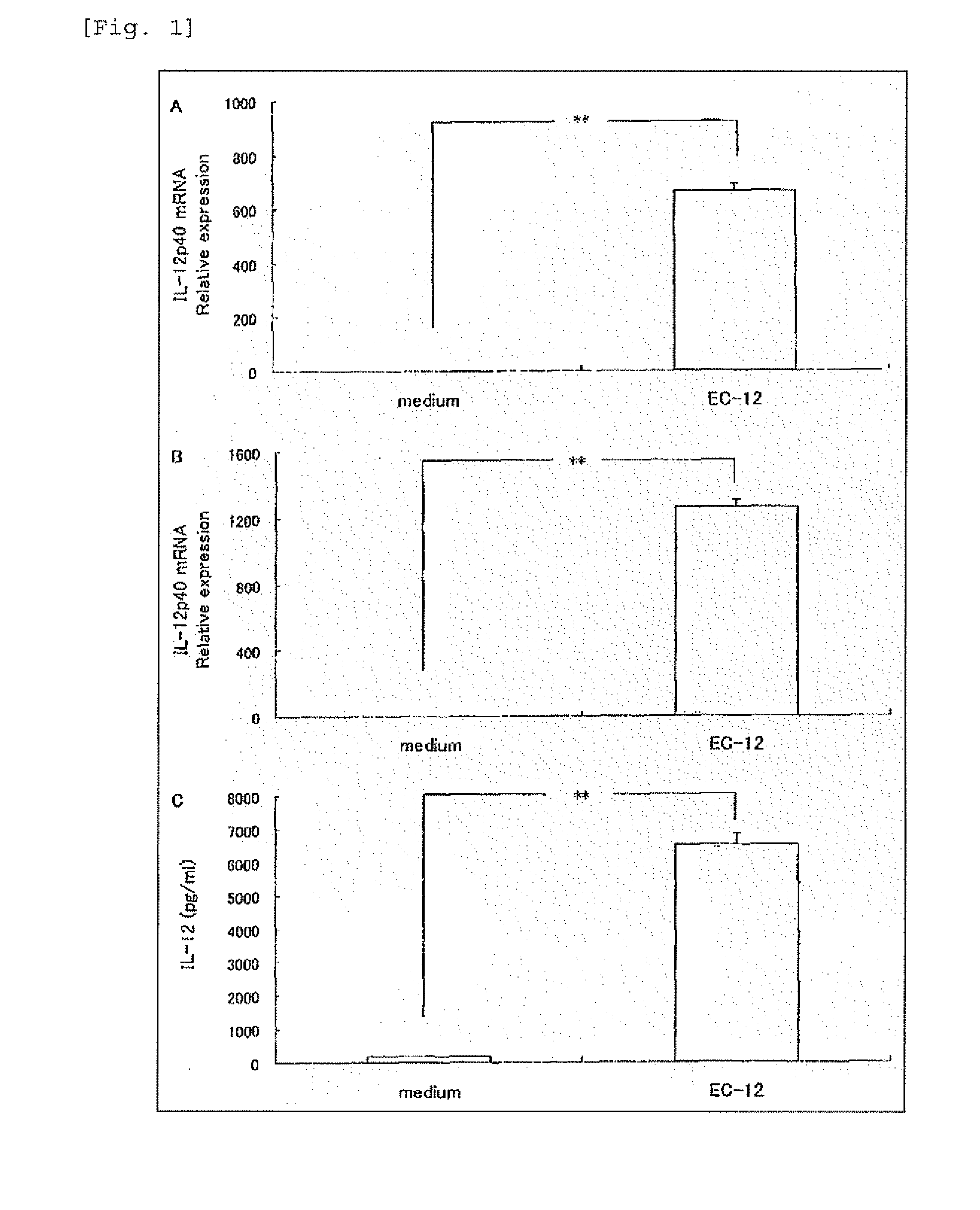 Composition comprising RNA derived from lactic acid bacterium as effective component
