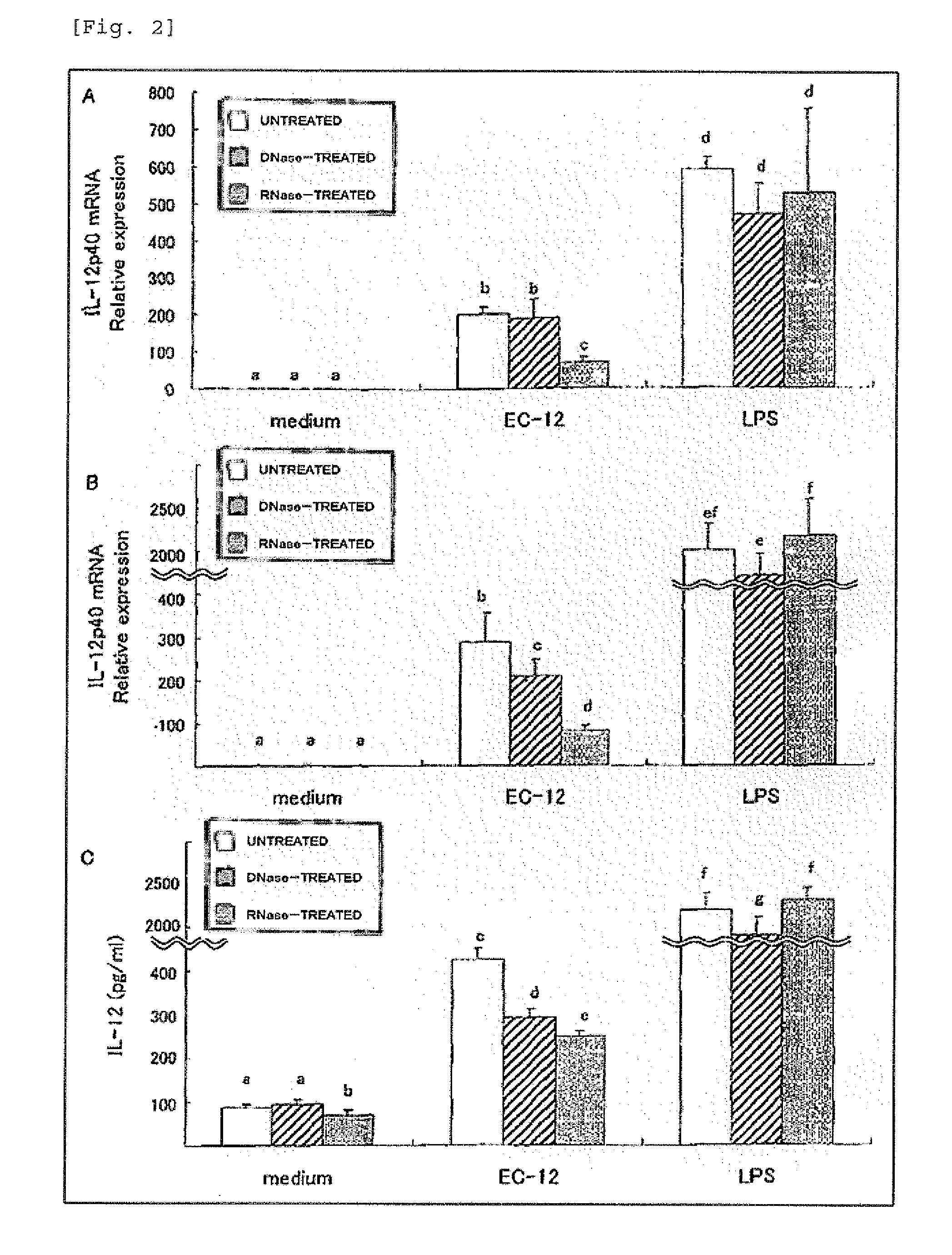 Composition comprising RNA derived from lactic acid bacterium as effective component