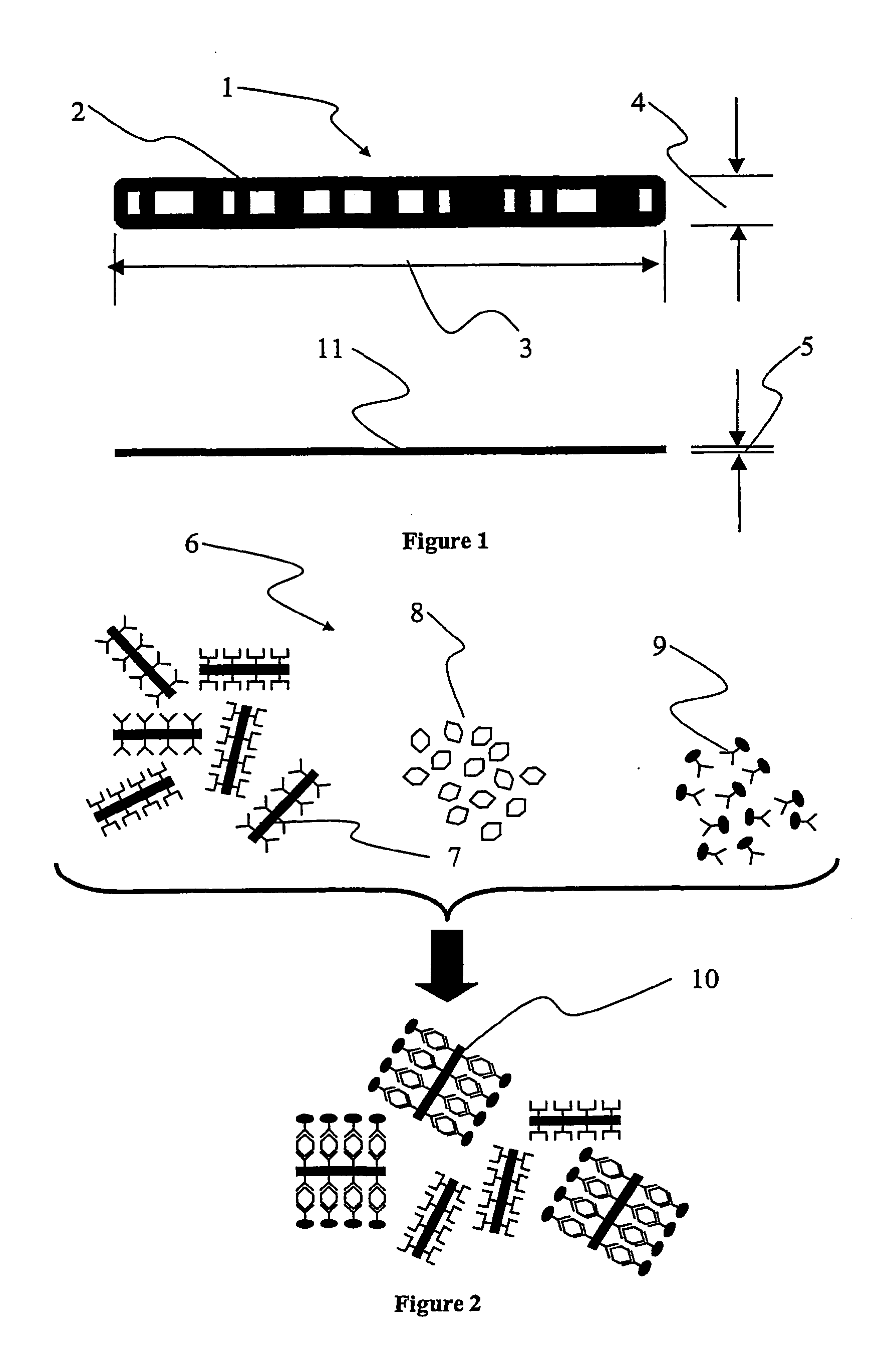 Biochemical method and apparatus for detecting genetic characteristic