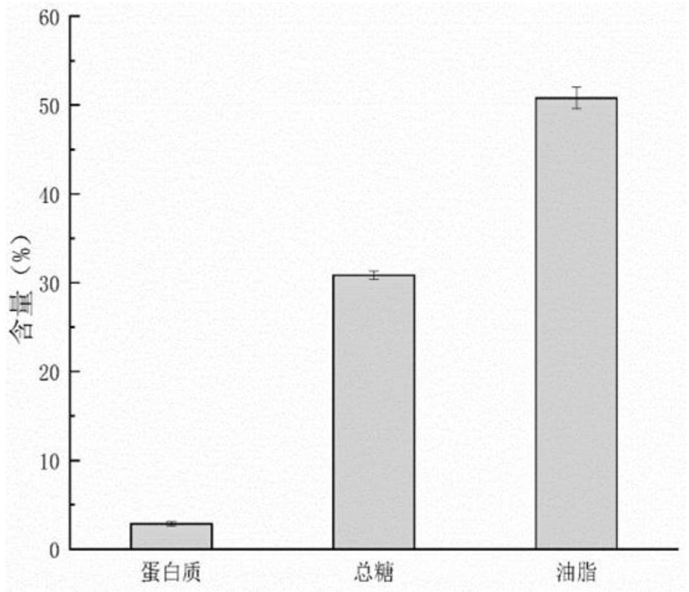 Method for carrying out nitrogen and phosphorus resource recovery and carbon neutralization by coupling filamentous algae after moderately nitrifying high-concentration ammonia-nitrogen wastewater