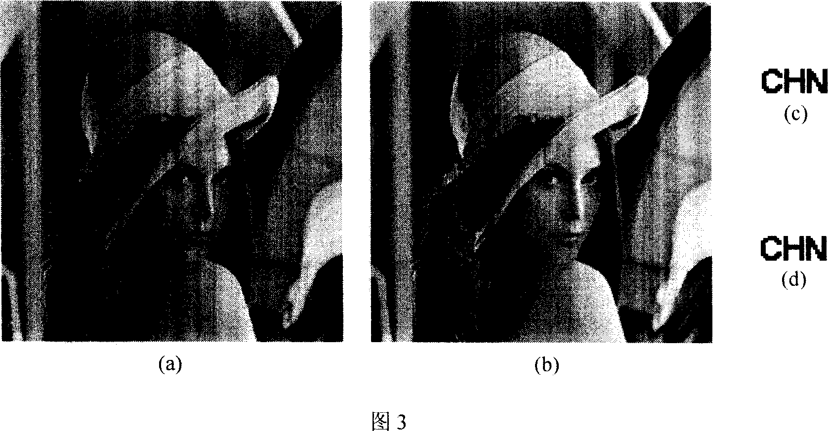 Robust digital watermark inserting and detecting method based on supporting vector