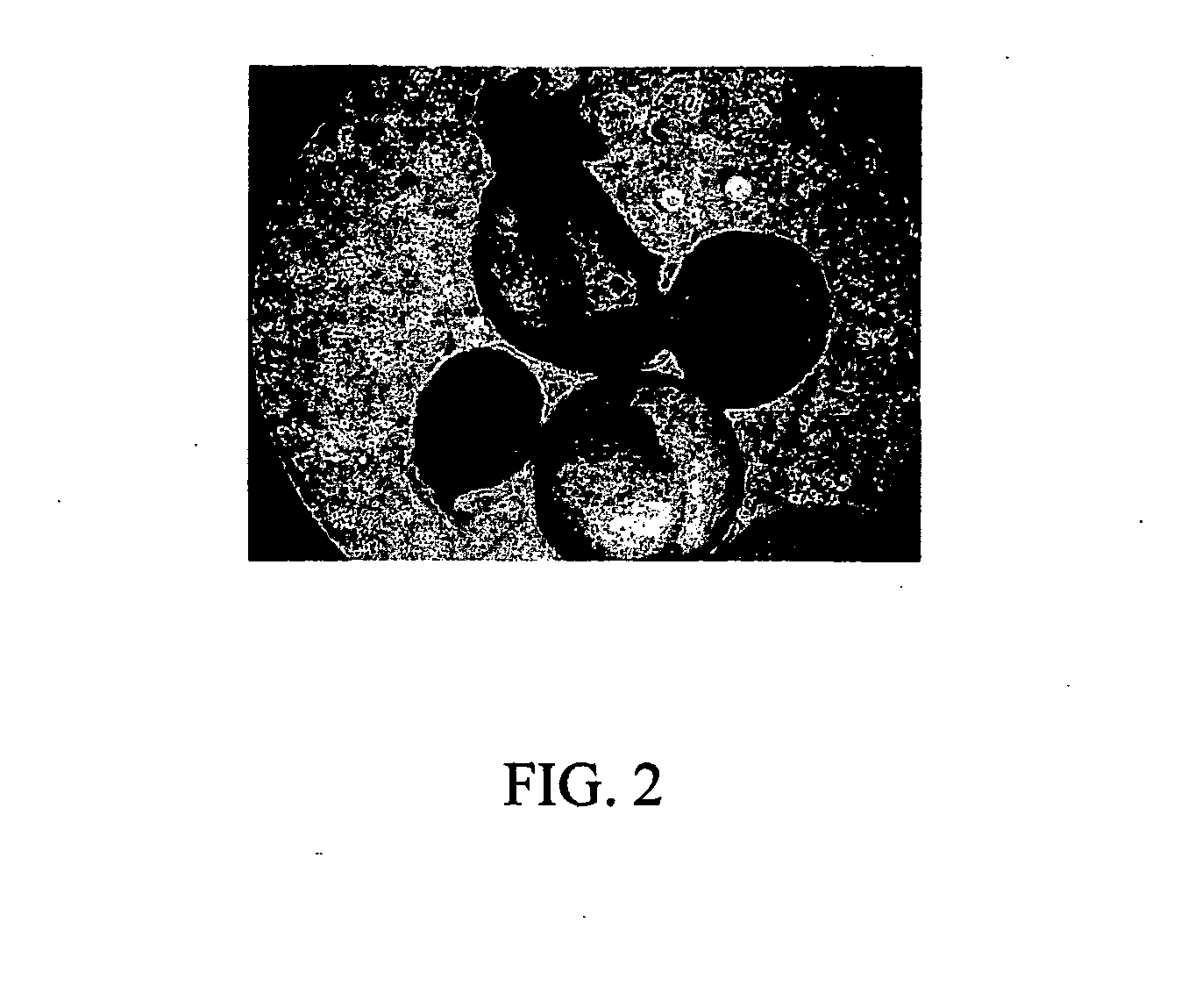 Method of forming multicellular spheroids from the cultured cells