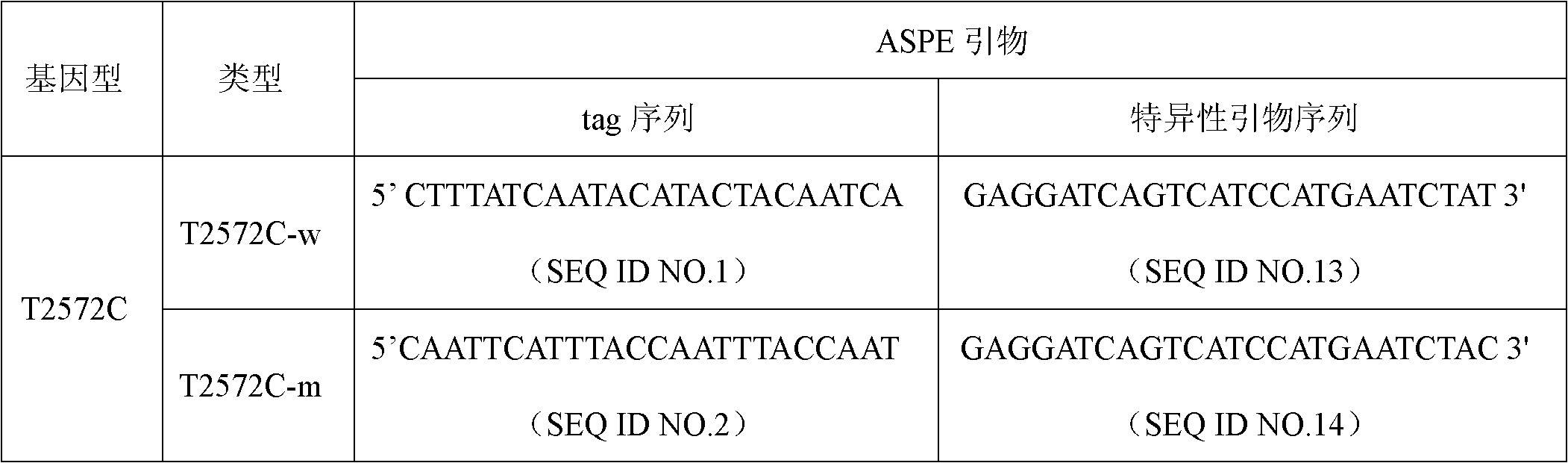 ATM gene mutation detection specific primer and liquid chip