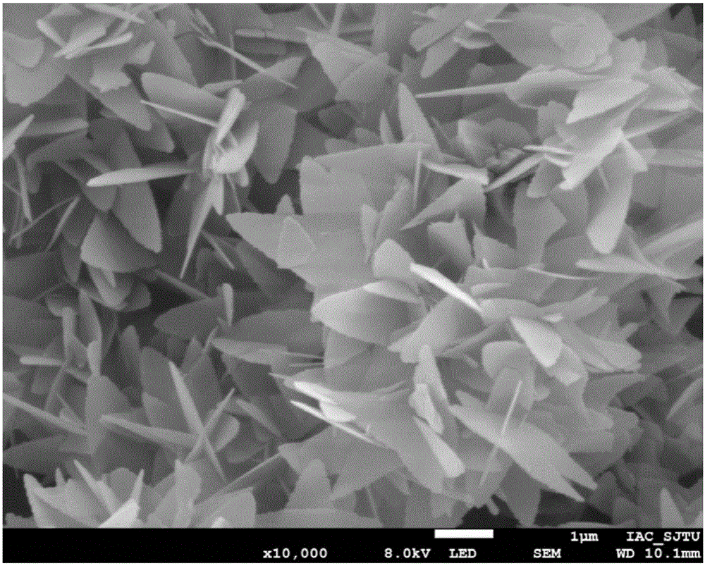 Method for preparing porous flaky nano aluminum oxide