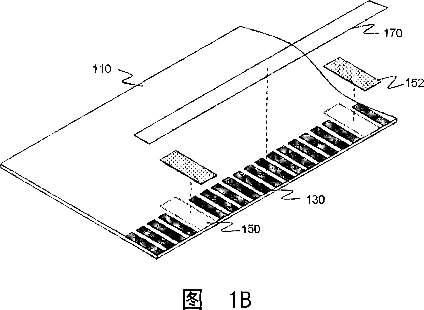 Printing circuit board and method for testing anisotropic conducting membrance