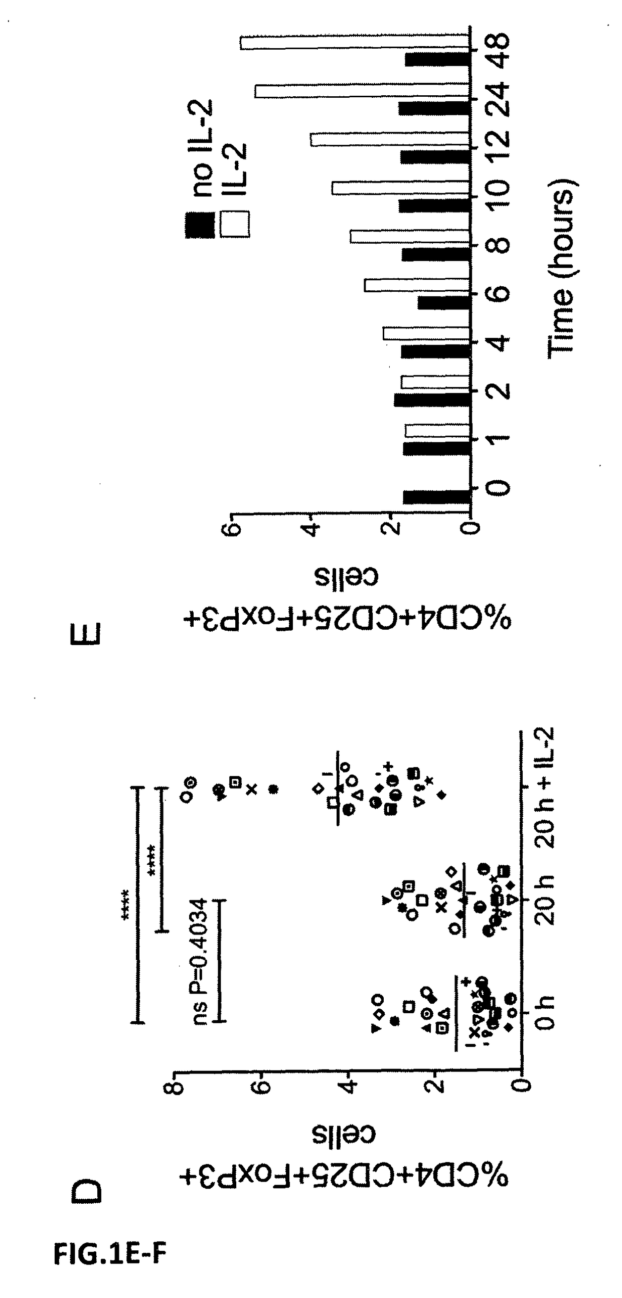 Method for the identification of transiently FOXP3 negative regulatory t-cells from human peripheral blood