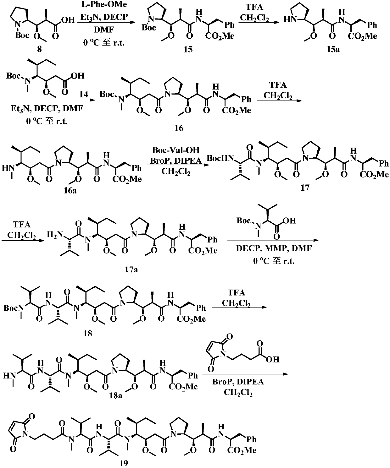 Auristatin analogues and their conjugates with cell-binding molecules