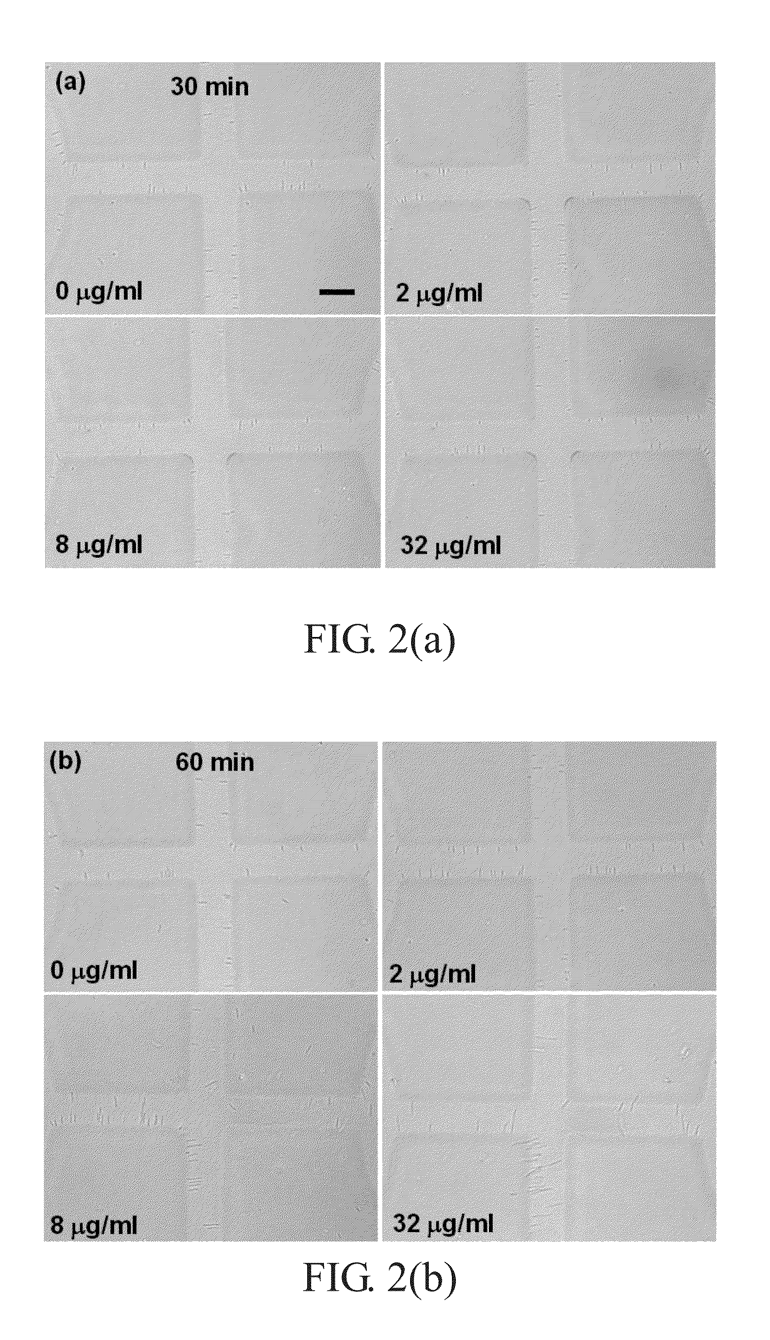 Method for antibiotic susceptibility testing and determining minimum inhibitory concentration of the antibiotic