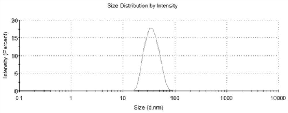 Spirolactone oral self-microemulsion concentrated solution