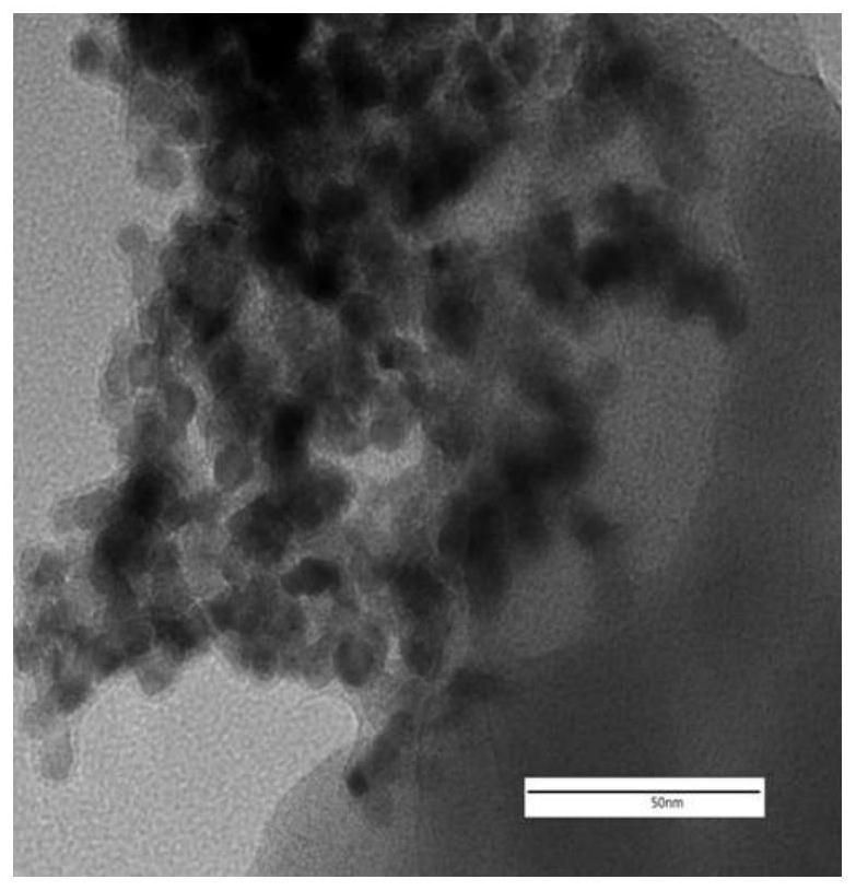 Catalysis and Application of Carbazole-Based Porous Organic Polymer Supported Transition Metal Oxide