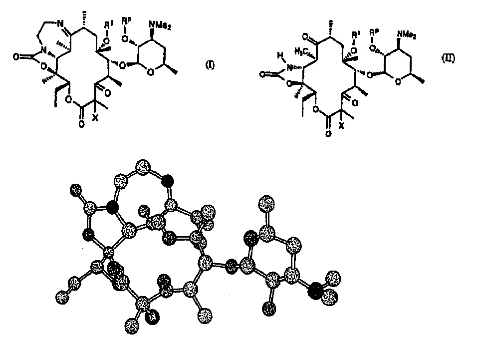Z-halo-6-o-substituted ketolide derivatives