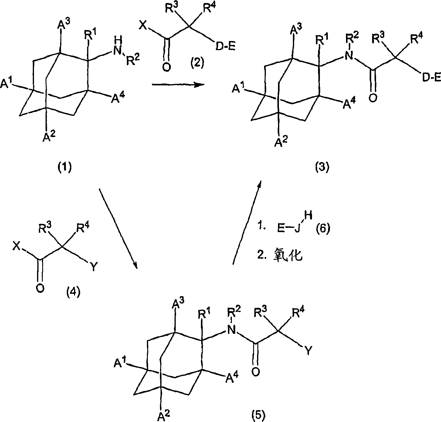 Inhibitors of the 11-beta-hydroxysteroid dehydrogenase type 1 enzyme