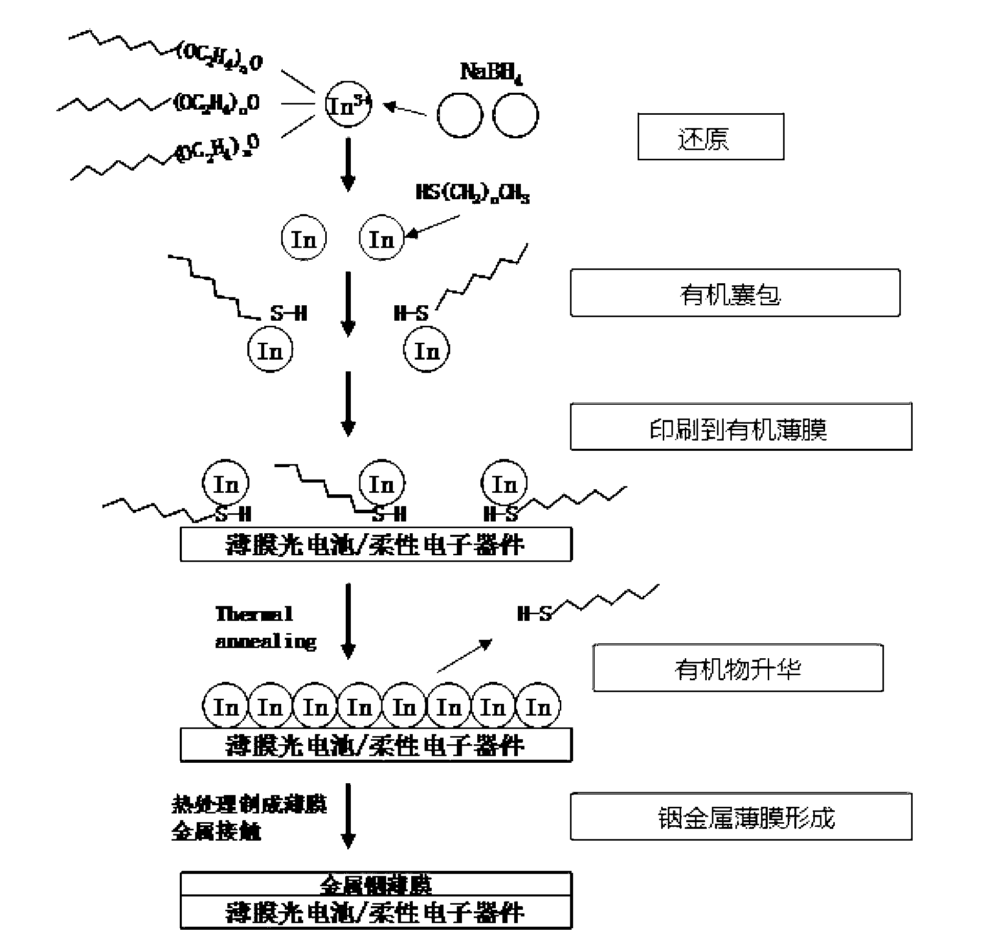 Organic molecule capsulated metal nanoparticles as well as preparation method and application thereof