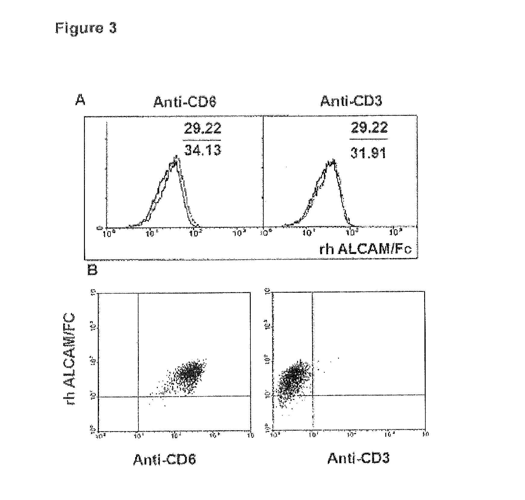 Pharmaceutical composition comprising an Anti-cd6 monoclonal antibody used in the diagnosis and treatment of rheumatoid arthritis
