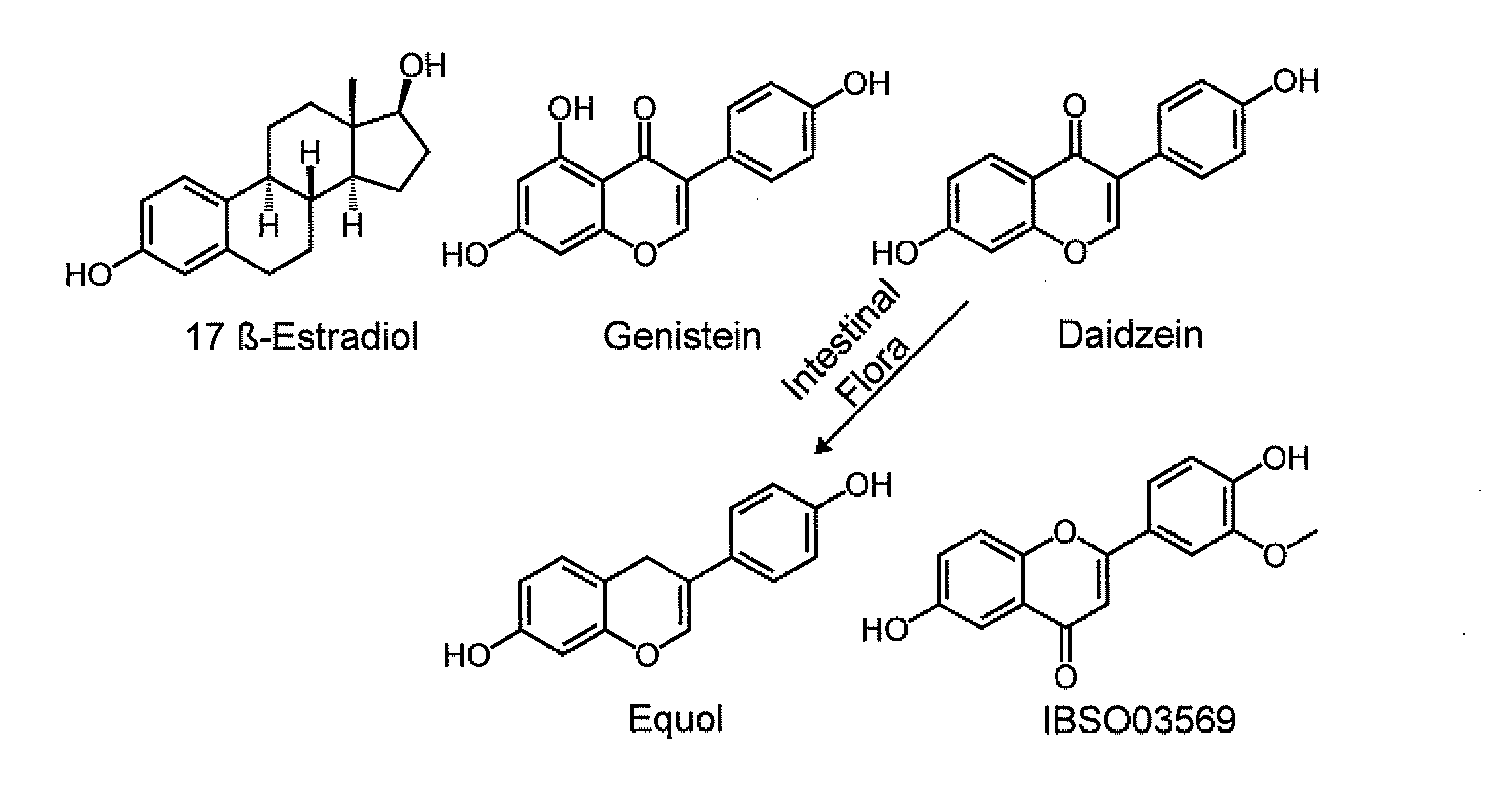 Phytoestrogenic formulations for alleviation or prevention of hair loss