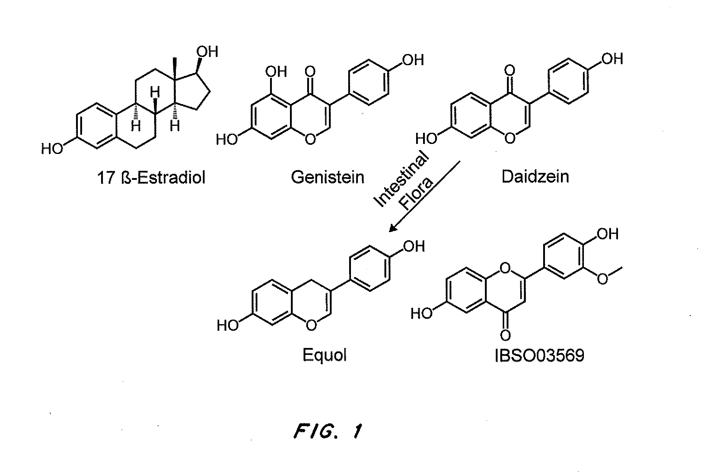 Phytoestrogenic formulations for alleviation or prevention of hair loss