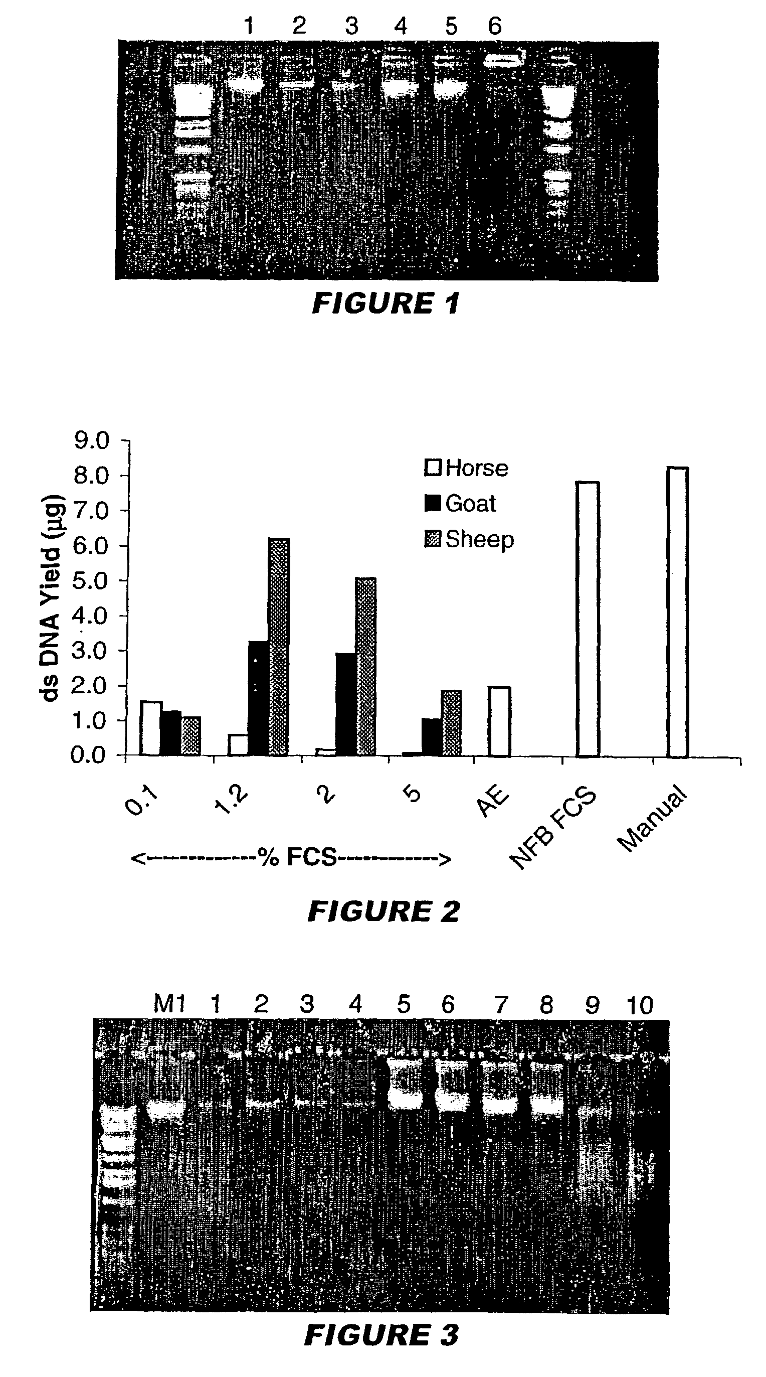 Inhibiting denaturation of nucleic acid duplexes