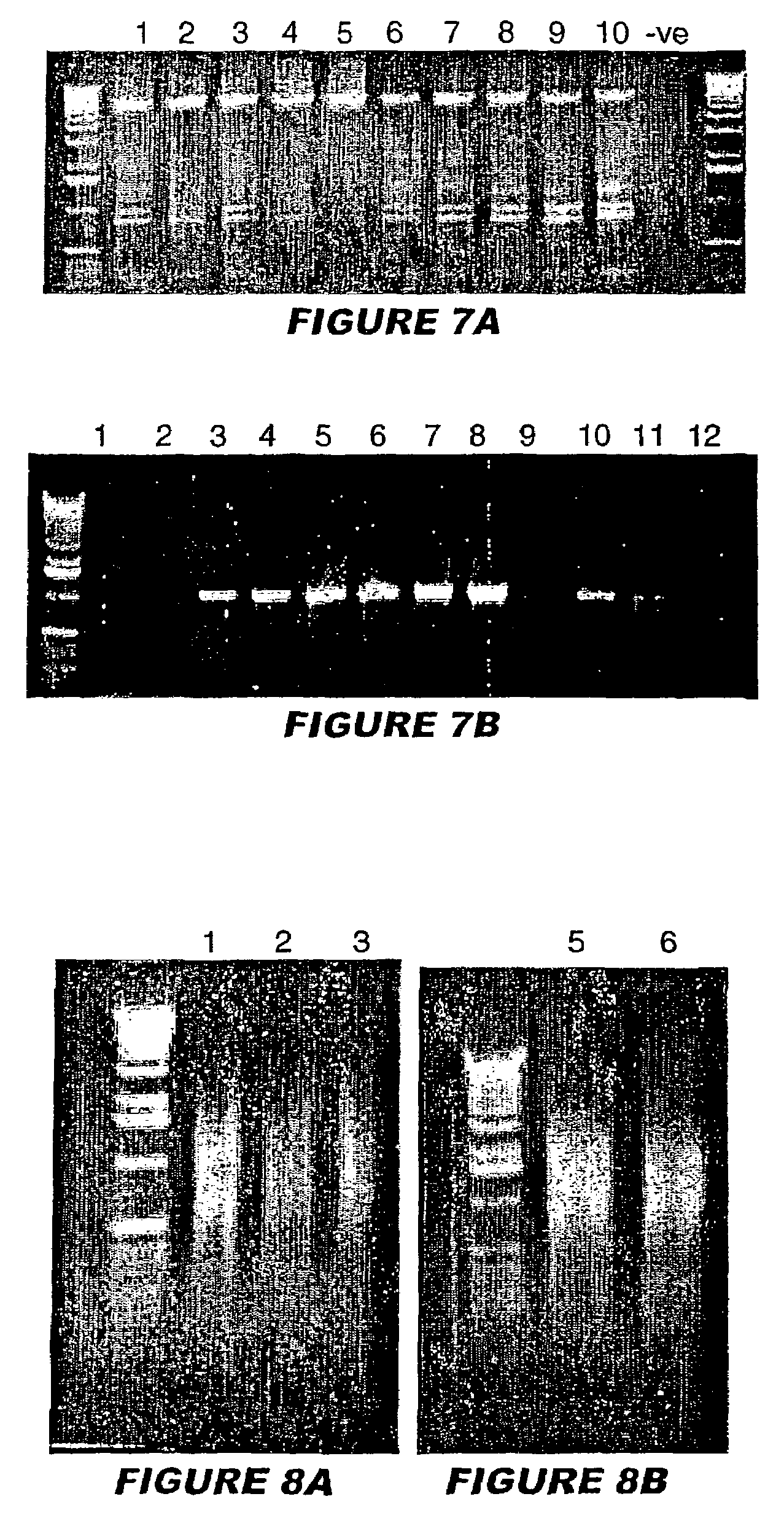 Inhibiting denaturation of nucleic acid duplexes