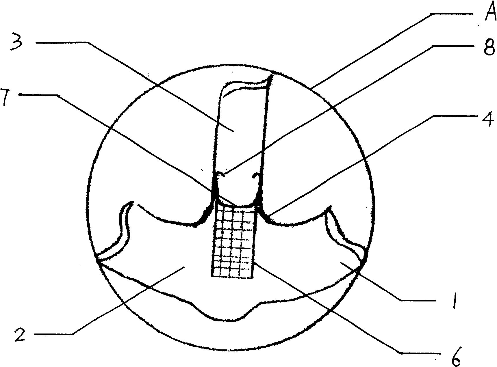 Spiral fluorescent light tube