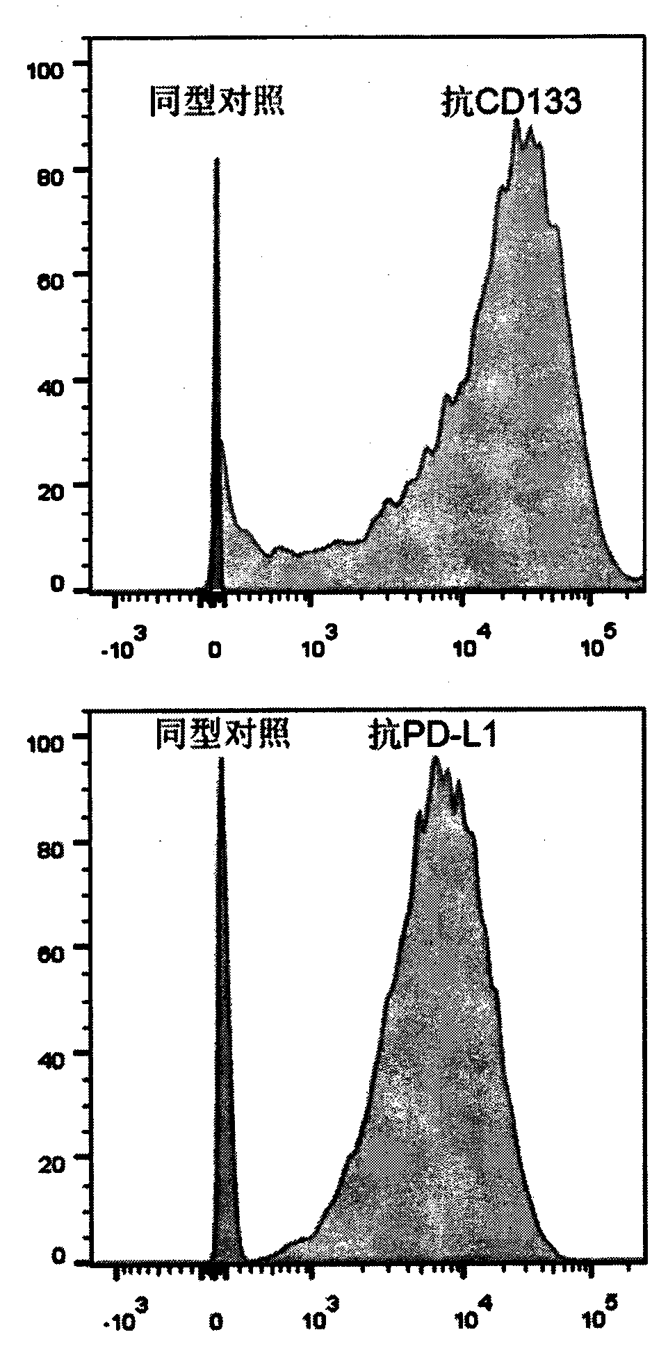 PD-1 gene silenced CD133-targeting CAR T cell and application thereof