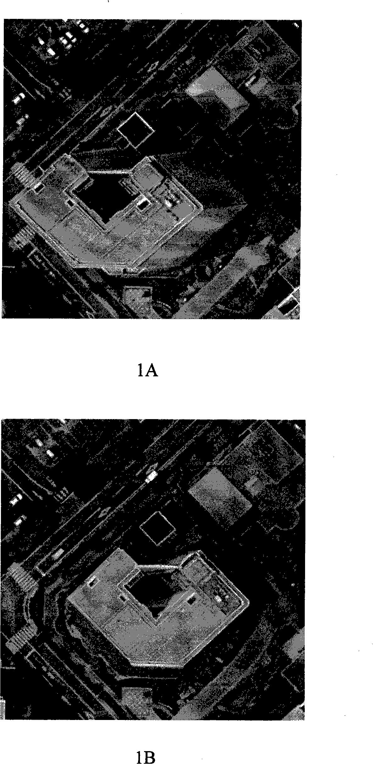 Method for rapidly constructing three-dimensional architecture scene through real orthophotos