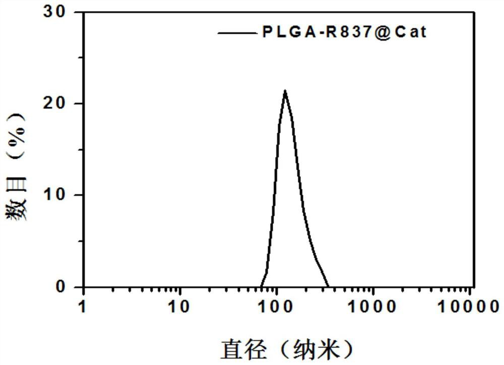 A kind of polymer nano-adjuvant and its preparation method and use