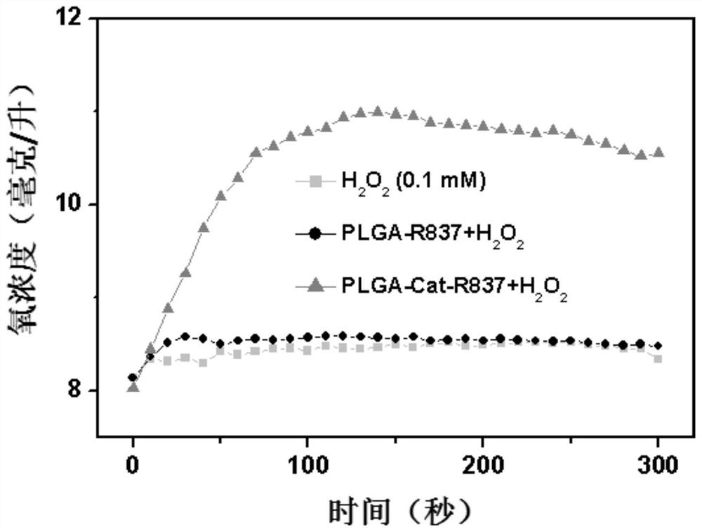 A kind of polymer nano-adjuvant and its preparation method and use