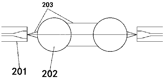 Ferrule member