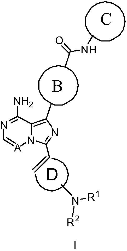 Bruton tyrosine kinase inhibitor