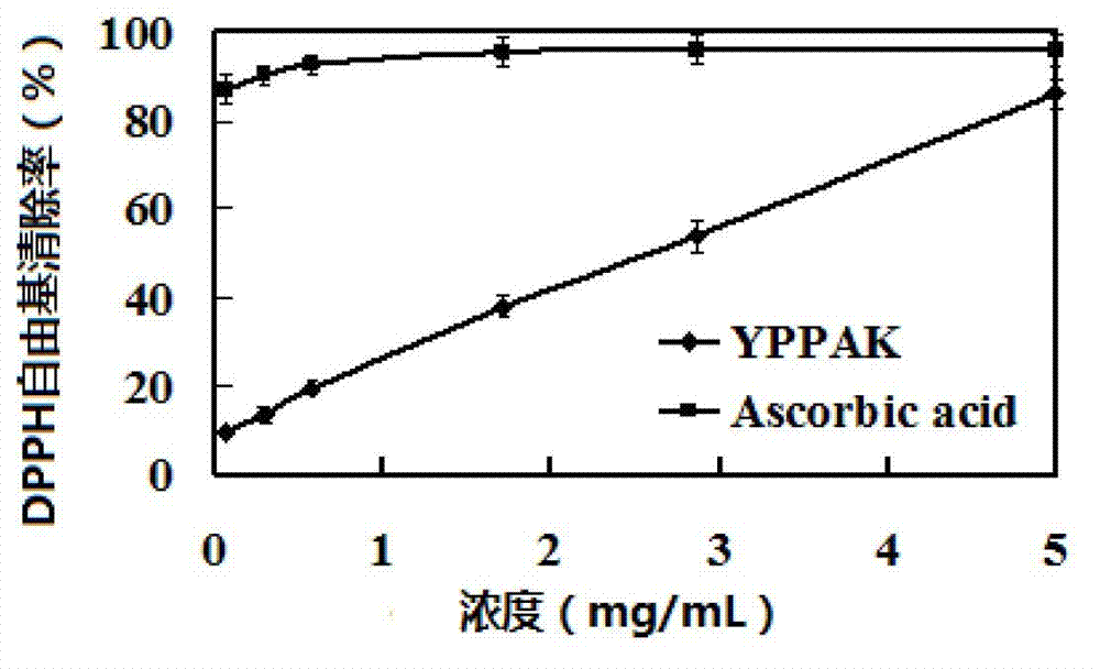 Mussel meat protein antioxidative peptide and preparation method thereof