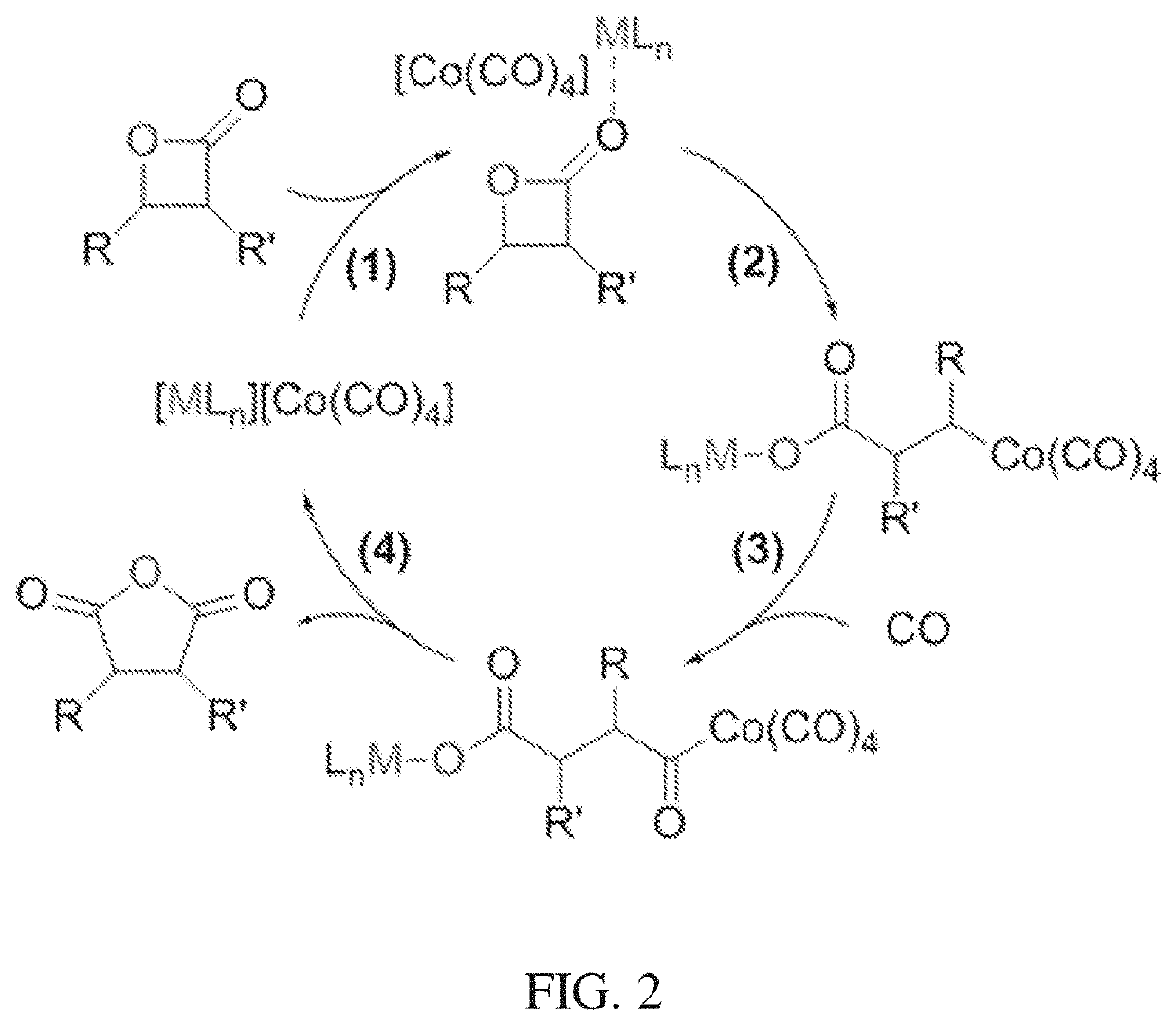 Compositions and methods for selective carbonylation of heterocyclic compounds